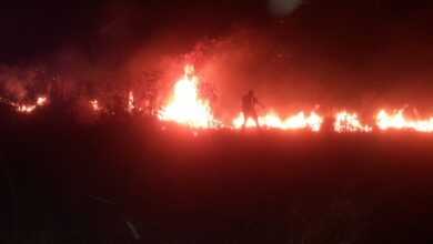 Photo of Intensa actividad de incendios en Yucatán; 40 sofocados sólo en marzo