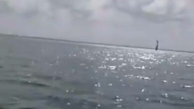 Photo of Avioneta que se desplomó en Laguna Nichupté salió de Holbox