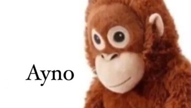 Photo of ¿Quieres tu propia ‘Lupe’? IKEA ya las venderá en México