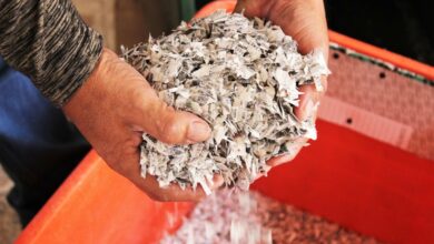 Photo of Destruye INE Yucatán más de mil credencial 2019 sin recoger