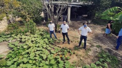 Photo of Urge el rescate de los solares mayas en Yucatán