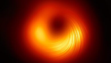 Photo of ¡Por primera vez! UNAM capta campos magnéticos en borde de agujero negro