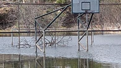 Photo of Nueve meses más seguiría inundado el Aquaparque al oriente de Mérida