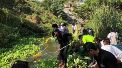 Photo of CICY presentan Semáforo de condición de cenotes en Cancún