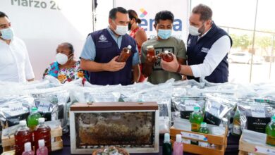 Photo of Renán Barrera entrega estímulos a productores apícolas afectados por las lluvias