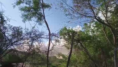 Photo of Se incendia relleno sanitario en Mérida