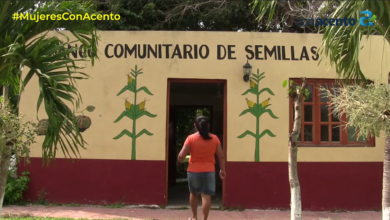 Photo of LAS GUARDIANAS DE LAS SEMILLAS