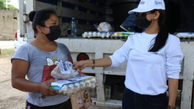 Photo of Gobierno inicia la entrega a 150 mil familias de pollos y huevos en Mérida