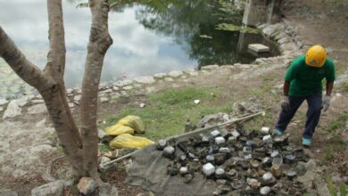 Photo of Sigue la extracción de medidores de la CFE del cenote Chen Há en Kopomá