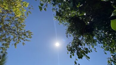 Photo of Se prevén altos niveles de rayos UV para la Península de Yucatán