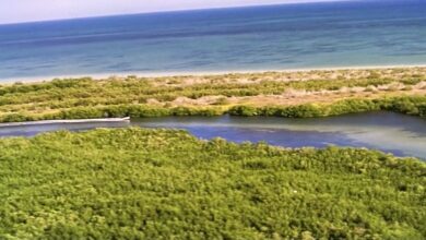 Photo of Calentamiento de los océanos alcanza niveles récord y “lo peor está por venir”, advierte OMM