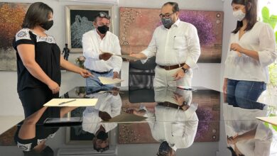 Photo of Ramírez Marín propone hacer jardines en la ciudad para salvar Colibríes y abejas