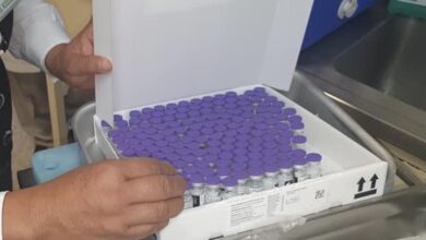 Photo of Escasez de primates para experimentación limitaría el estudio de más vacunas anticovid
