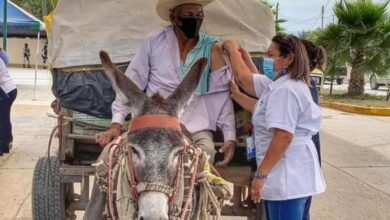Photo of Don Chalo, adulto mayor, llega en burro a recibir vacuna contra Covid-19