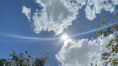 Photo of En Yucatán ya se siente la «surada» con vientos que superan los 60 km/h en zonas costeras