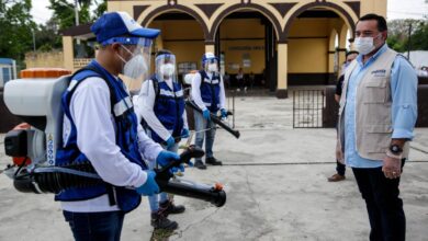 Photo of Con protocolos sanitarios, el Ayuntamiento reactiva las actividades en Mérida
