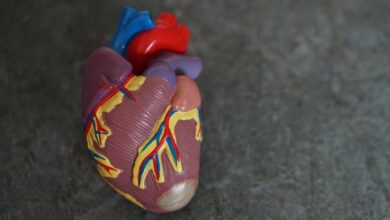 Photo of Covid-19 puede matar células del músculo cardíaco y afectar la contracción del corazón