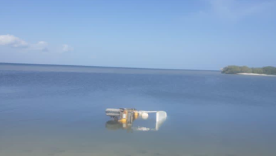 Photo of Asesinan a yucateca en Holbox, es el primer feminicidio en la historia de la isla