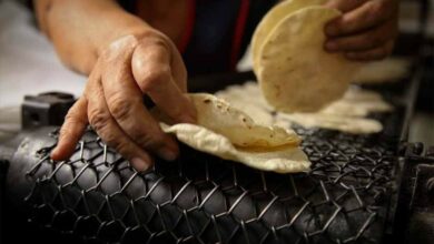 Photo of Aumentó el precio de la tortilla y viene alza al pan