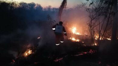 Photo of En Yucatán van 139 reportes de incendios afectando casi mil hectáreas solo en abril