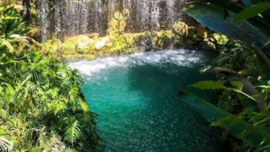 Photo of Por homicidio culposo, integra FGE carpeta de investigación por muerte de menor en Xenses