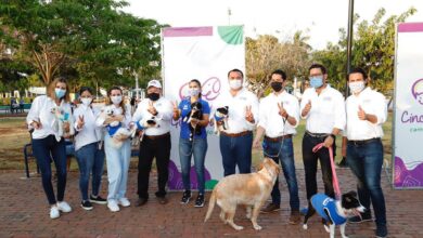 Photo of Proteger a los animales de compañía, nuestro compromiso: Renán Barrera