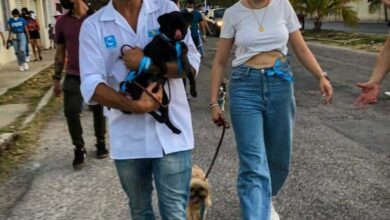 Photo of Concientiza Rommel Pacheco sobre protección y adopción de mascotas
