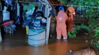 Photo of Procivy auxilia a 38 familias afectadas por las lluvias en Tekax