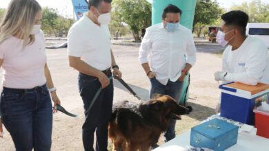 Photo of El alcalde de Mérida Alejandro Ruz supervisa la aplicación de vacunas antirrábicas