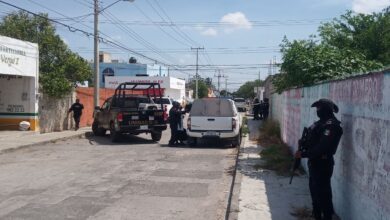 Photo of Guardia Nacional realiza operativo antidrogas en Vergel II