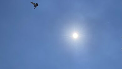 Photo of Seguirá la ola de calor para Yucatán: Conagua