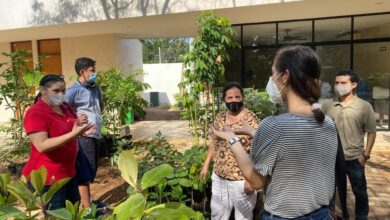 Photo of CICY invita al público a su vivero de plantas nativas