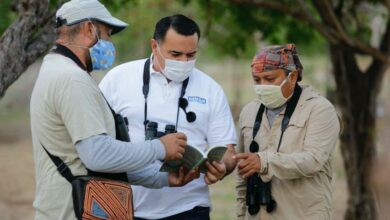 Photo of Renán Barrera por más acciones de cuidado medioambiental y bienestar animal