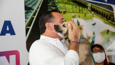 Photo of Mérida tendrá nuevo centro felino y canino con hospital veterinario