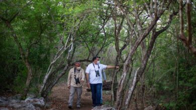 Photo of Mérida será la ciudad más verde de México: Renán Barrera