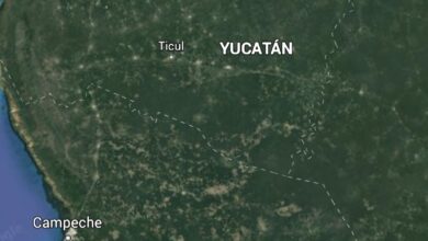 Photo of Google Earth permitirá ver cómo ha cambiado la Tierra en 37 años