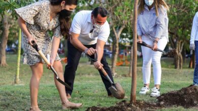 Photo of “Haremos de Mérida la ciudad más sustentable de México”: Renán Barrera