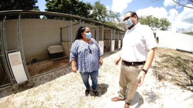 Photo of Ramírez Marín mantiene lucha por mejorar el entorno de Mérida