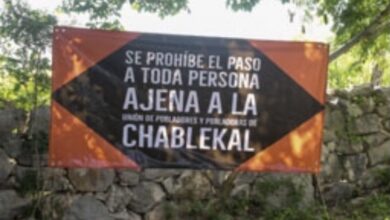 Photo of ¿Qué es lo que está sucediendo en Misnebalam? Ilegal querer parcelar 120 hectáreas