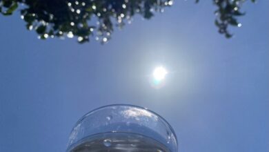Photo of Intensa onda de calor llegará a la Península de Yucatán, el mercurio rebasaría los 40 °C