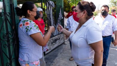 Photo of Consumo local, vía inmediata para atender la crisis económica: Liliana Araujo