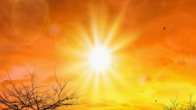 Photo of Temperaturas de cerca de 50°C se han registrado en Yucatán