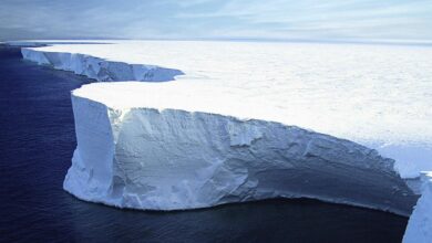 Photo of Se derrite el iceberg más grande del mundo