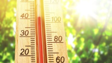 Photo of Por segunda semana consecutiva se mantienen las altas temperaturas para Yucatán