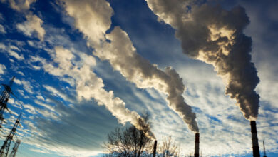 Photo of ONU lanza 10 consejos para frenar al cambio climático