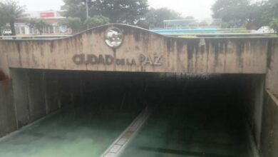 Photo of La próxima semana inician trabajos de rehabilitación del Paso Deprimido