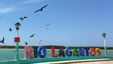 Photo of Restringen paso vehicular al malecón de Río Lagartos