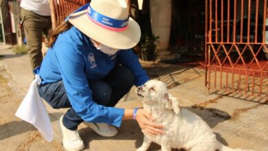 Photo of Abril Ferreyro comprometida con el cuidado a las mascotas
