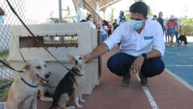 Photo of Erik Rihani refrenda su compromiso con el cuidado de los animales