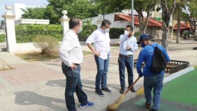 Photo of Ayuntamiento de Mérida embellece constantemente el Paseo de Montejo